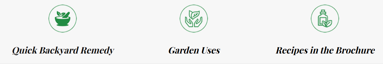 Medicinal Garden Kit Benefits