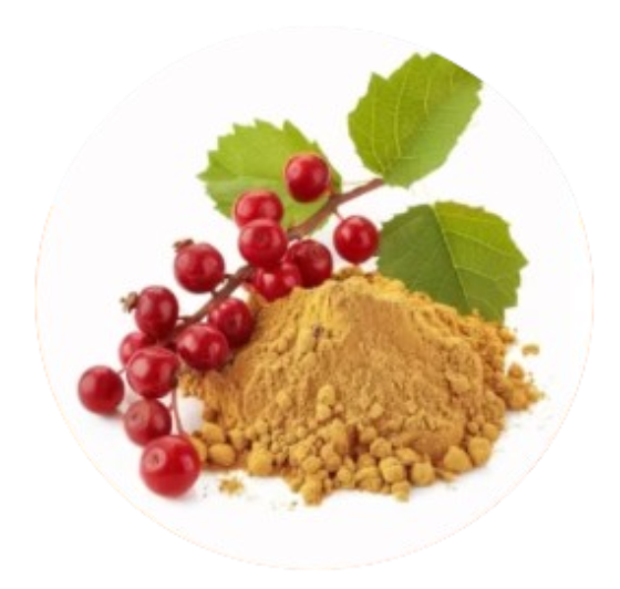 Schisandra Fruit Extract