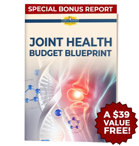 Bonus #2 The Joint Health Budget Blueprint ($39 Value)